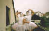 Ballerina1.jpg (21487 Byte)